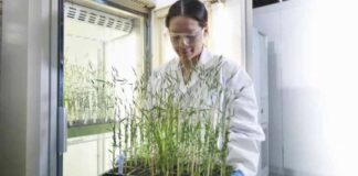 Ganadores de Legado 2025 Innovación con impacto para transformar la salud y el agro en Cono Sur