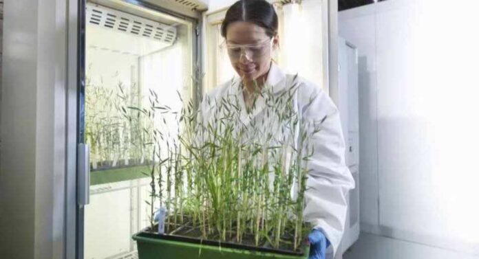 Ganadores de Legado 2025 Innovación con impacto para transformar la salud y el agro en Cono Sur Ganadores de Legado 2025 Innovación con impacto para transformar la salud y el agro en Cono Sur