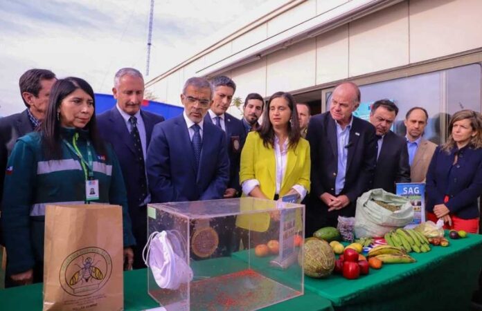 Gobierno presenta el Plan “NO a la mosca de la fruta, Chile exporta confianza” Gobierno presenta el Plan “NO a la mosca de la fruta, Chile exporta confianza”