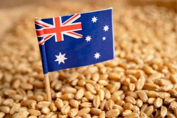 GrainCorp insta a reformar la cadena de suministro agrícola australiana GrainCorp insta a reformar la cadena de suministro agrícola australiana