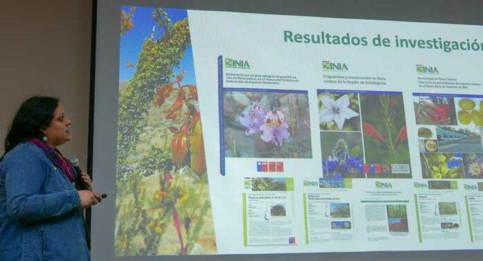 INIA Intihuasi realiza charla magistral sobre biodiversidad y conservación ex-situ de la flora nativa INIA Intihuasi realiza charla magistral sobre biodiversidad y conservación ex-situ de la flora nativa