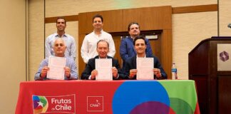 Industrias de la uva de Perú, México y Chile lanzan oficialmente el Global Grape Group (GGG)
