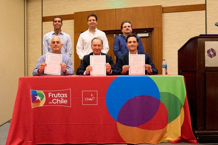 Industrias de la uva de Perú, México y Chile lanzan oficialmente el Global Grape Group (GGG) Industrias de la uva de Perú, México y Chile lanzan oficialmente el Global Grape Group (GGG)