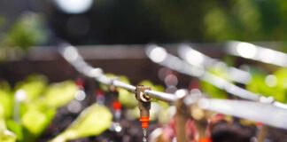 Inseguridad alimentaria y precariedad