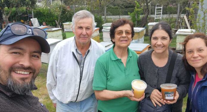 Investigación analizó la salud de abejas a través de su sonido y sistema inmune Investigación analizó la salud de abejas a través de su sonido y sistema inmune