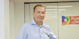Iván Marambio es reelegido presidente de Frutas de Chile
