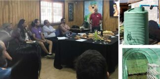 Jóvenes rurales de Angol impulsan cultivo inteligente con agua lluvia e hidroponía gracias a proyecto FIA–UMayor