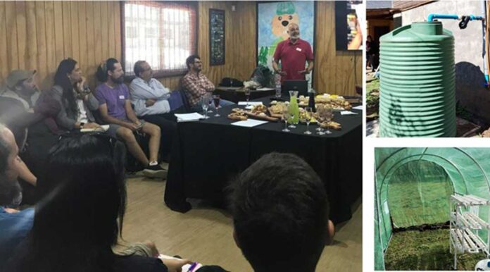 Jóvenes rurales de Angol impulsan cultivo inteligente con agua lluvia e hidroponía gracias a proyecto FIA–UMayor