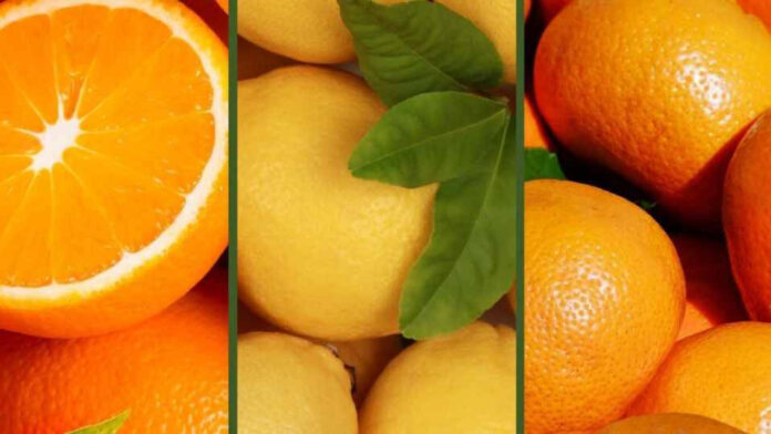 La Organización Mundial de Cítricos plantea inquietudes sobre los criterios privados de seguridad alimentaria y su impacto en el sector citrícola