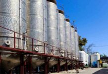 La UE busca oportunidades agroalimentarias en Brasil La UE busca oportunidades agroalimentarias en Brasil