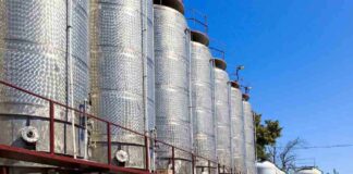 La UE busca oportunidades agroalimentarias en Brasil