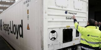 La gestión eficiente de la carga reefer es clave para las exportaciones de frutas frescas