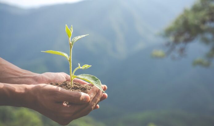 Día Internacional contra el Cambio Climático: Los avances hacia la carbono neutralidad y el nuevo estándar de responsabilidad corporativa Día Internacional contra el Cambio Climático: Los avances hacia la carbono neutralidad y el nuevo estándar de responsabilidad corporativa