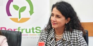 Expertos del agro de la Región de Valparaíso defienden la rigurosidad chilena tras fallo en Estados Unidos: “El Systems Approach funciona y está probado”