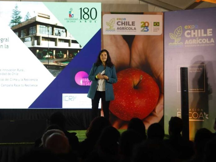 Más de 900 actividades en ocho años: Los grandes números de Expo Chile Agrícola