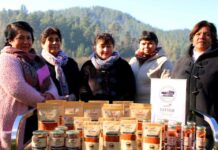 Merkén, mieles y mermeladas: los productos del Biobío que serán parte de la 25ª Expo Mundo Rural de INDAP