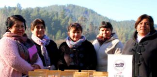 Merkén, mieles y mermeladas: los productos del Biobío que serán parte de la 25ª Expo Mundo Rural de INDAP