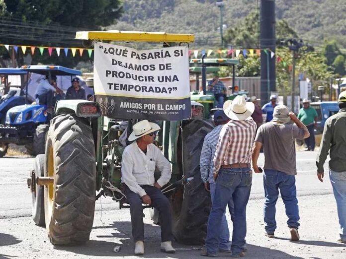 México | Miles de agricultores protestan durante horas en una veintena de Estados de México por los bajos precios