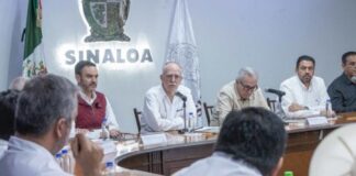 México Sinaloa se prepara para la cosecha de maíz blanco en 2026
