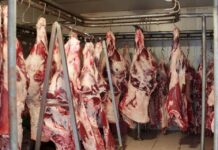 Movilización del SAG: Riesgo de cierre en frigoríficos e impacto en precios