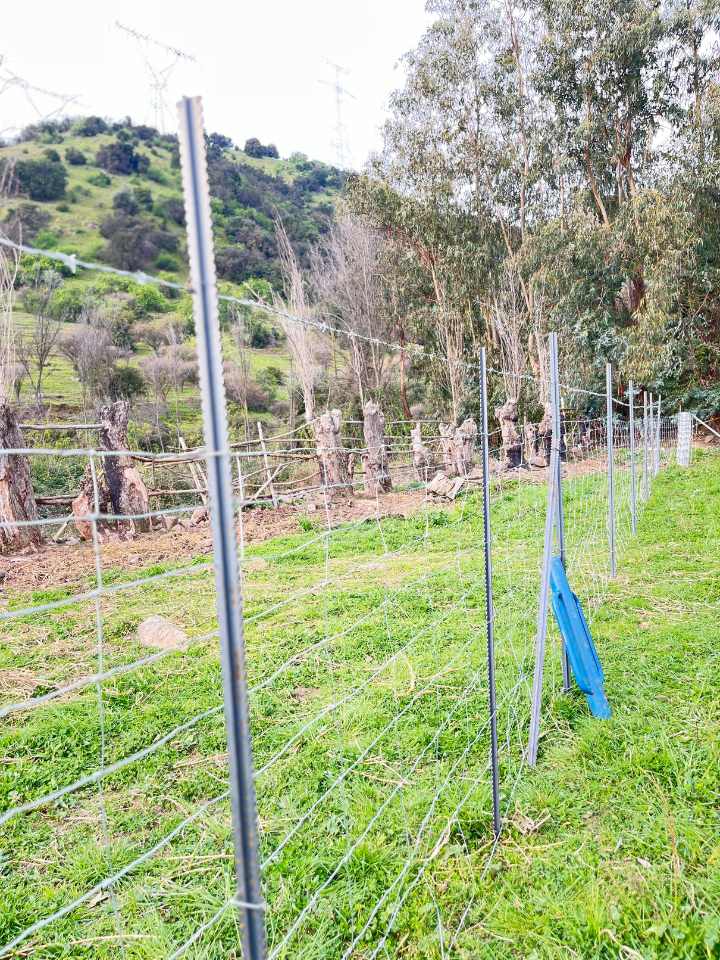 poste aza, POSTE AZA: la nueva forma de cercar el campo chileno con rapidez y durabilidad