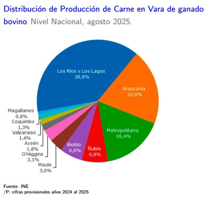 Producción de carne en vara de ganado bovino de la Región del Biobío presentó una disminución interanual de 22,9% en agosto de 2025