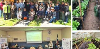 Productoras de Quintero y Puchuncaví demuestran con proyecto FIA que es posible producir hortalizas y flores con bajo contenido de metales pesados