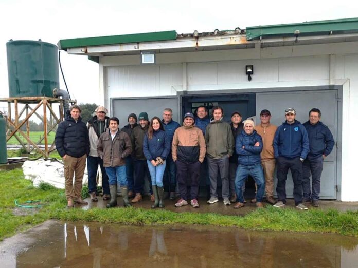 Productores lecheros uruguayos visitan INIA Remehue Productores lecheros uruguayos visitan INIA Remehue