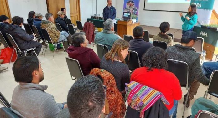 Remehue impulsa prácticas sustentables en cultivos y hortalizas de la agricultura familiar campesina