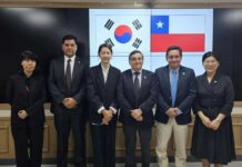 SAG y Frutas de Chile sostienen reunión con autoridades del servicio fitosanitario de Corea