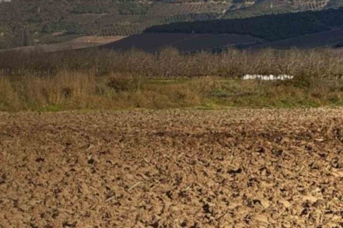 Segundo barómetro de robo agrícola Segundo barómetro de robo agrícola