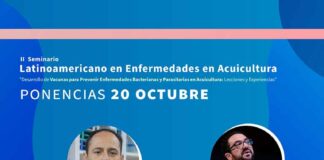 Seminario Latinoamericano en Enfermedades en Acuicultura lanza programa para sesiones sobre vacunas