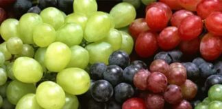 Comité de Uva de Mesa de Frutas de Chile anuncia homologación de calibres para ordenar y garantizar la consistencia en la información de las uvas de mesa nacionales en el exterior Comité de Uva de Mesa de Frutas de Chile anuncia homologación de calibres para ordenar y garantizar la consistencia en la información de las uvas de mesa nacionales en el exterior