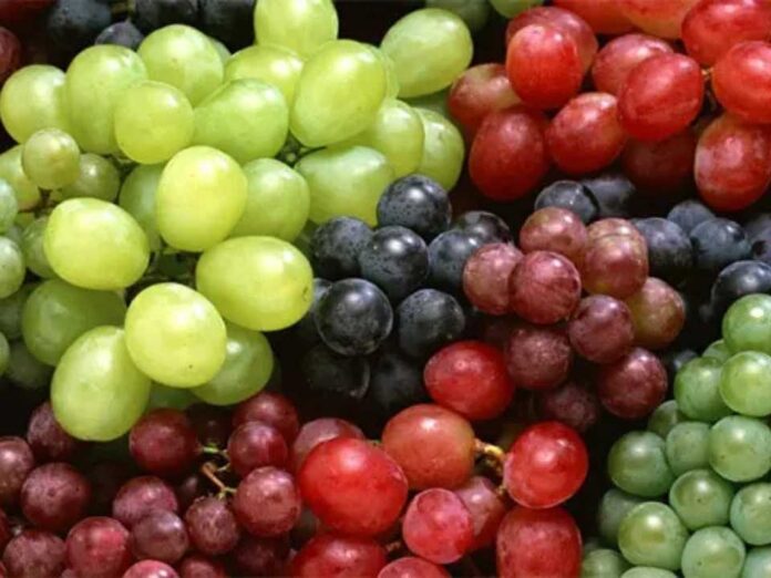 Comité de Uva de Mesa de Frutas de Chile anuncia homologación de calibres para ordenar y garantizar la consistencia en la información de las uvas de mesa nacionales en el exterior