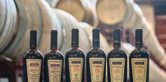 Viña Santa Ema celebra 30 años de Catalina, su vino ícono y testigo clave de su evolución como viña familiar con proyección global