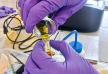 Vinculación académica fortalece la investigación en suelos con formación de capital humano avanzado Vinculación académica fortalece la investigación en suelos con formación de capital humano avanzado