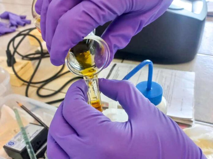 Vinculación académica fortalece la investigación en suelos con formación de capital humano avanzado Vinculación académica fortalece la investigación en suelos con formación de capital humano avanzado