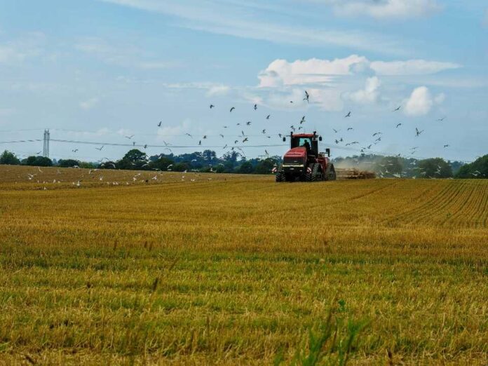 Webfleet Chile y Agrak lanzan dashboard Agrícola para mejorar toma de decisiones, productividad y ahorro de costos en el agro chileno Webfleet Chile y Agrak lanzan dashboard Agrícola para mejorar toma de decisiones, productividad y ahorro de costos en el agro chileno