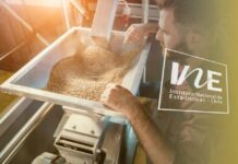 cifras de molienda de trigo, INE