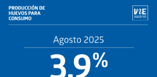 La producción de huevos de consumo presentó un aumento interanual de 3,9% en agosto de 2025