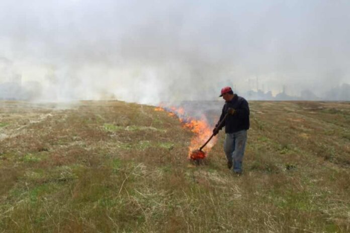 CONAF hace un llamado a realizar una quema segura y legal