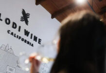 Viticultores de California abandonan viñedos asfixiados por costos y poca demanda