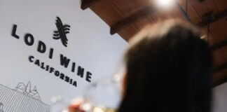 Viticultores de California abandonan viñedos asfixiados por costos y poca demanda