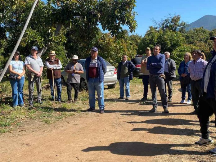 Agricultores de Aconcagua fortalecen su capacidad técnica en operación y mantención de sistemas de riego para mejorar la eficiencia hídrica (1) Agricultores de Aconcagua fortalecen su capacidad técnica en operación y mantención de sistemas de riego para mejorar la eficiencia hídrica