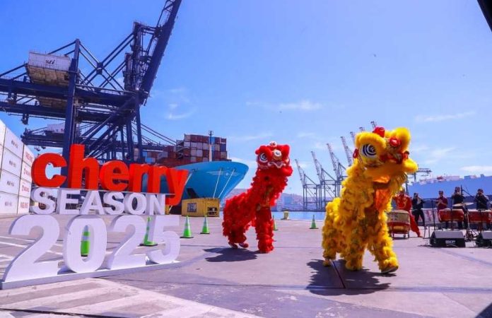 Autoridades y sector privado dan inicio a la temporada de cerezas con la mayor cantidad de servicios directos hacia Asia Autoridades y sector privado dan inicio a la temporada de cerezas con la mayor cantidad de servicios directos hacia Asia