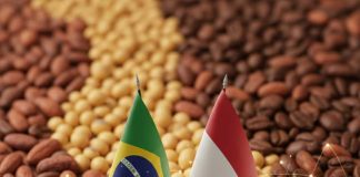 BCSEM fortalece lazos con los Países Bajos para impulsar la cooperación en semillas