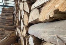 Biobío hace el llamado a postular al Sello Calidad de Leña para fortalecer el mercado y mejorar la calidad del aire en la región