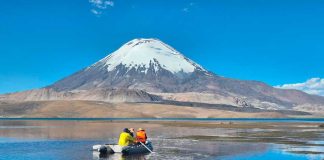 CONAF aceleró limpieza del Lago Chungará con apoyo de dos embarcaciones y contratación de empresa para extracción de aceite de soya