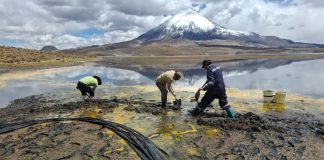 CONAF cierra indefinidamente sector Chungará del Parque Nacional Lauca por emergencia ambiental