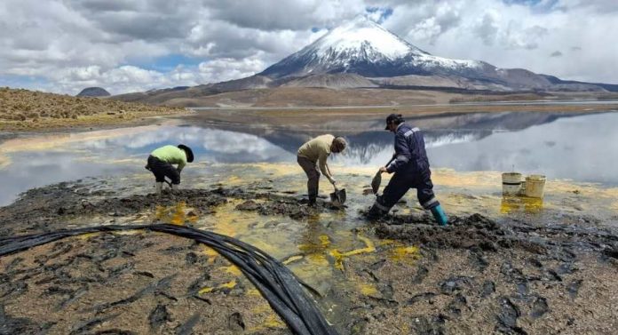 CONAF cierra indefinidamente sector Chungará del Parque Nacional Lauca por emergencia ambiental CONAF cierra indefinidamente sector Chungará del Parque Nacional Lauca por emergencia ambiental